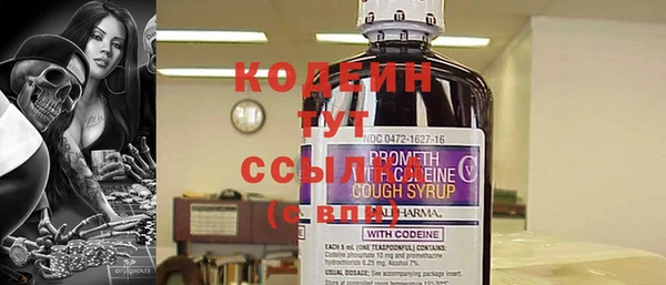 шишки Абаза