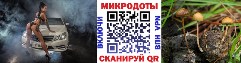 Псилоцибиновые грибы мухоморы  Черноголовка 